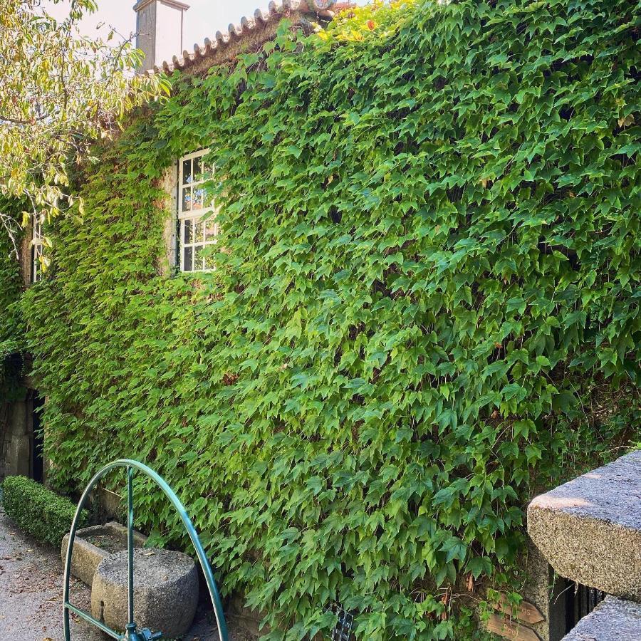 Casa Dos Barros Winery Lodge By Vintage Theory Sabrosa Exterior photo