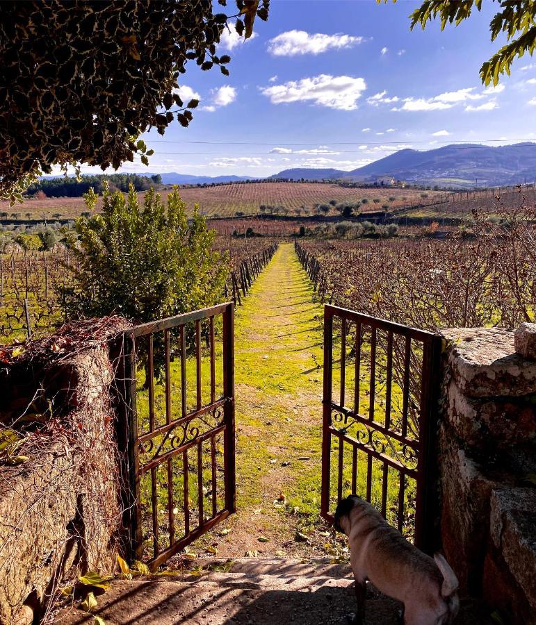Casa Dos Barros Winery Lodge By Vintage Theory Sabrosa Exterior photo