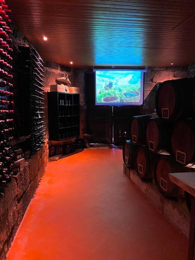 Casa Dos Barros Winery Lodge By Vintage Theory Sabrosa Exterior photo