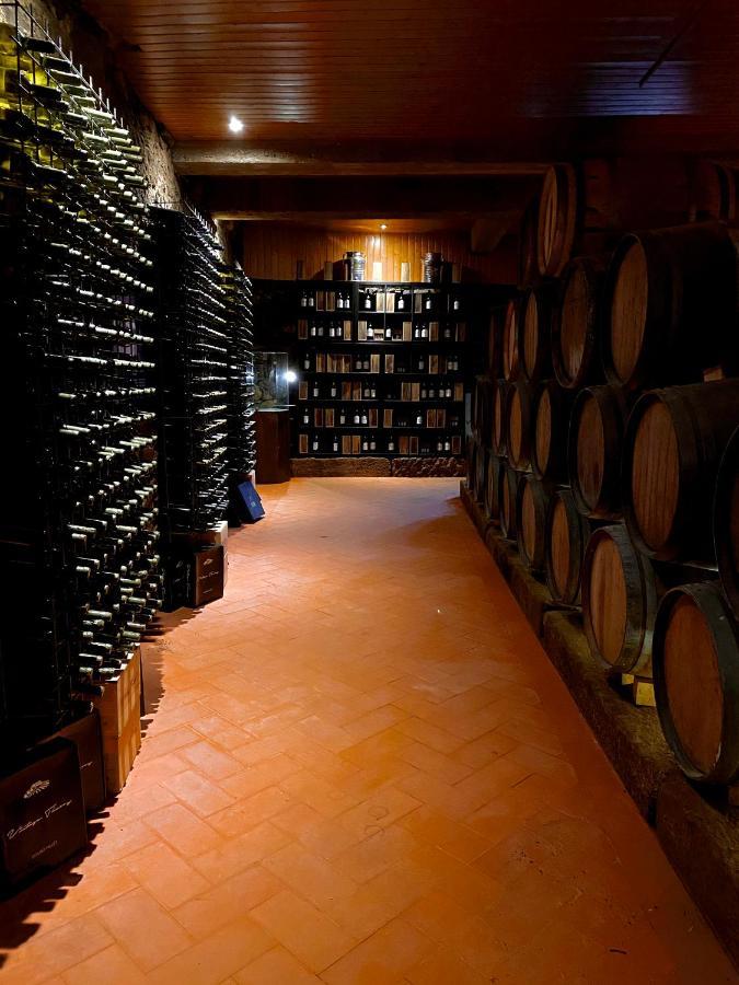 Casa Dos Barros Winery Lodge By Vintage Theory Sabrosa Exterior photo