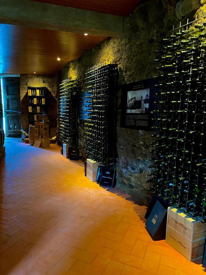 Casa Dos Barros Winery Lodge By Vintage Theory Sabrosa Exterior photo