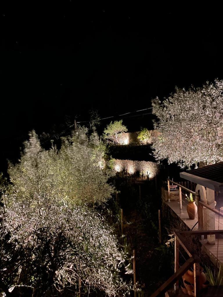 Casa Dos Barros Winery Lodge By Vintage Theory Sabrosa Room photo