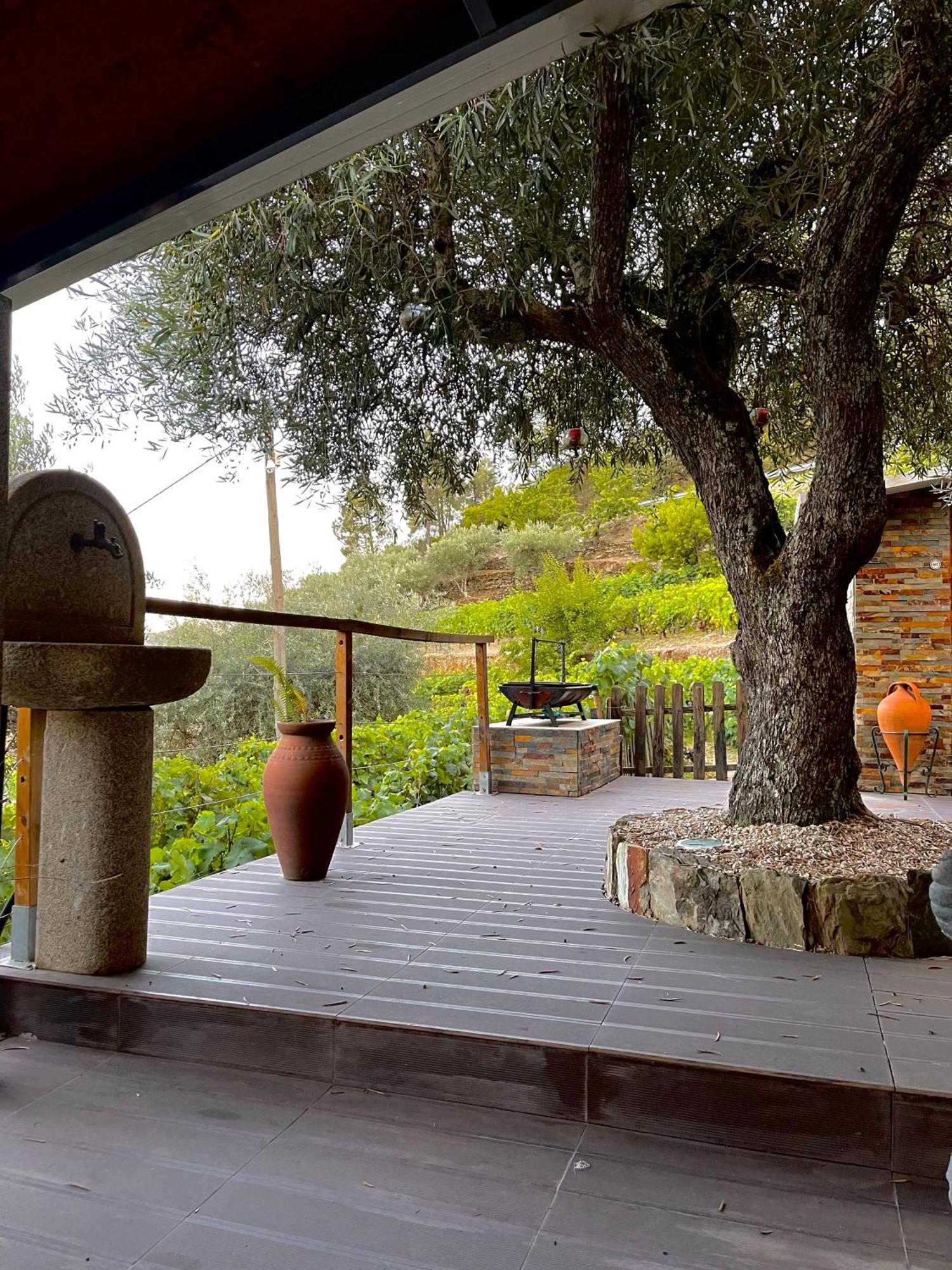 Casa Dos Barros Winery Lodge By Vintage Theory Sabrosa Room photo