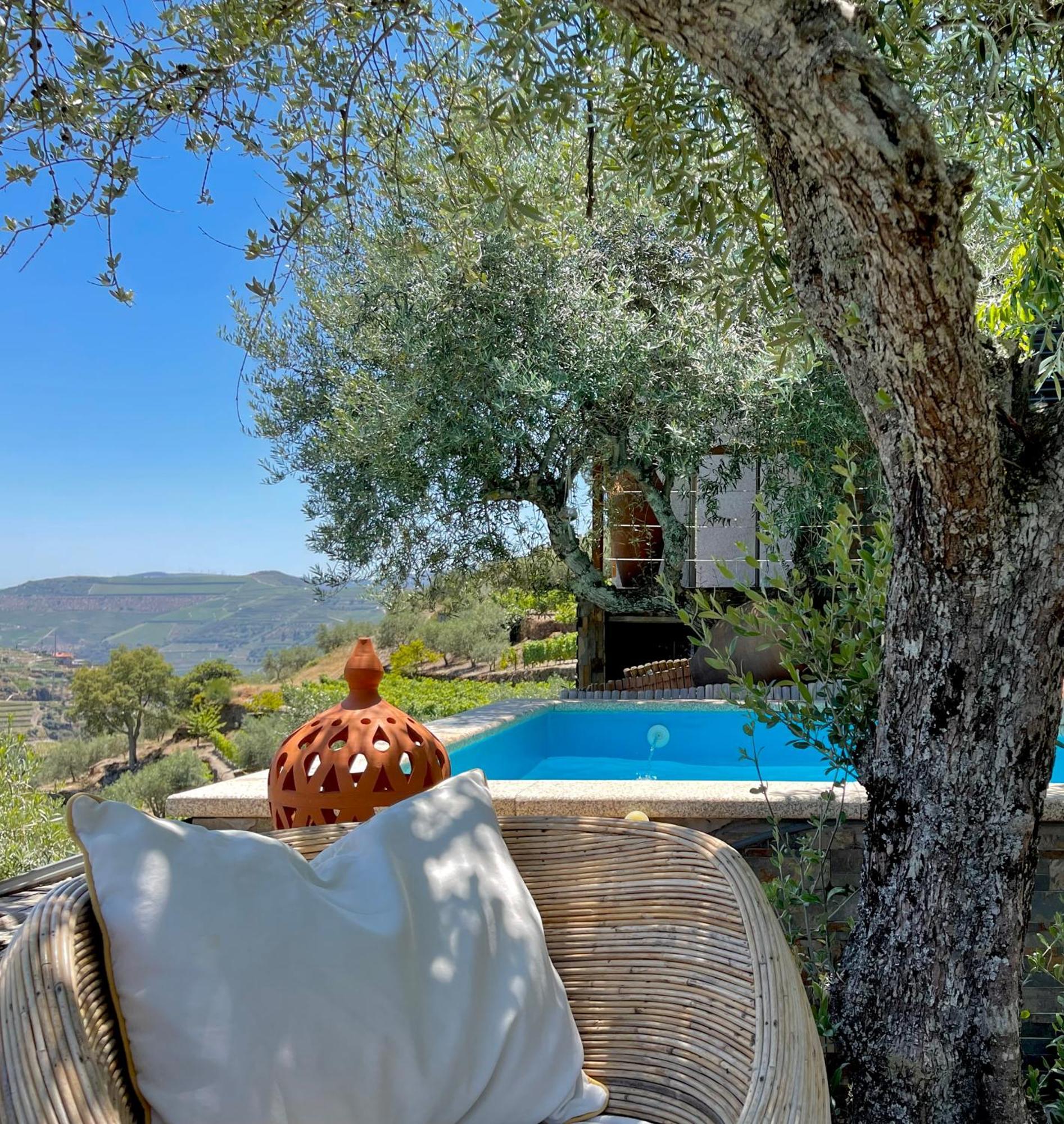 Casa Dos Barros Winery Lodge By Vintage Theory Sabrosa Room photo